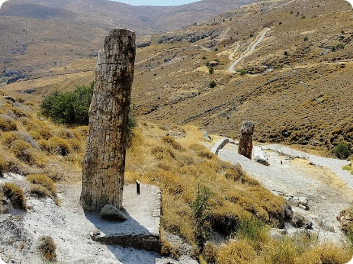 Petrified forest of Lesvos, ancient fossilised trees